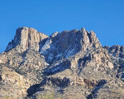 10481 N Della Cresta Ct Unit #20, Oro Valley