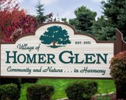 12020 Rambling Road, Homer Glen image