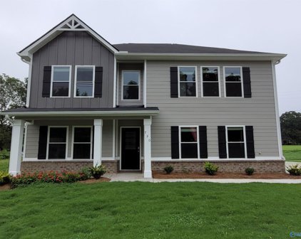 730 Guntersville Road, Arab