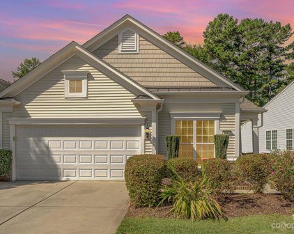 1041 Sweetleaf  Drive, Indian Land