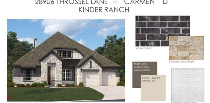 28906 Throssel Lane, San Antonio