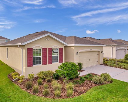 31782 Tansy Bend, Wesley Chapel