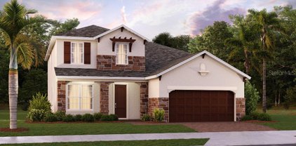 1542 Sepal Street, Kissimmee