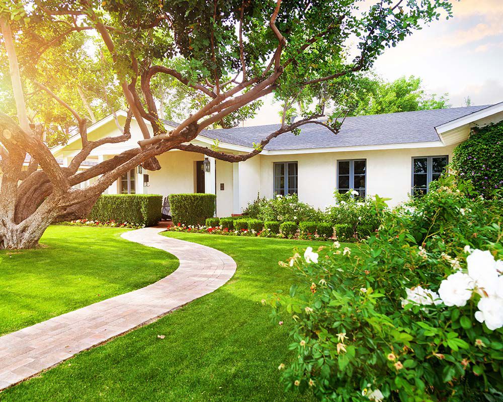 Arlington Real Estate