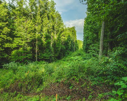 Lot 10 Woolwine Hwy, Woolwine