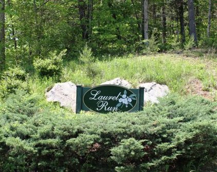 Mint  Ln, Callaway