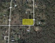 537 County Road 2339, Dayton image