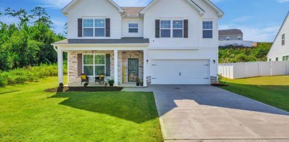 180 Mayfield Crossing, Duncan