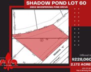 2802 Whispering Pine Drive, Alvin image