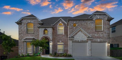 6608 Dove Chase  Lane, Fort Worth