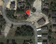 1652 Redfin Drive, Poinciana image