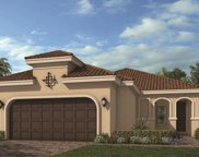 11409 Trivio Terrace, Palmetto image