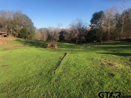 TBD Blackjack Road, Troup