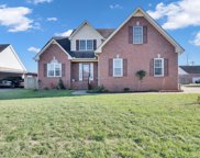 1033 Crystal Bear Trl, Murfreesboro image