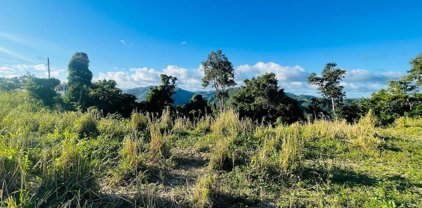 BO. CERCADILLO 715 State Road Km 5.6, Cayey