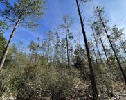 Whitehouse Fork Road, Bay Minette image