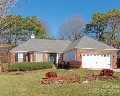 2974 Huckleberry Hill  Drive, Fort Mill