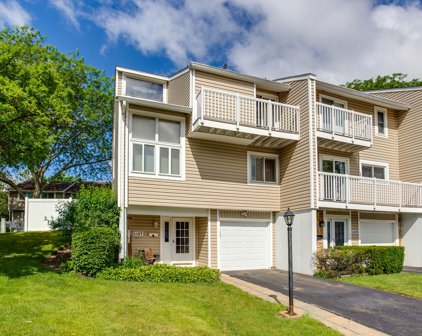 1107 Sandpiper Court, Bartlett