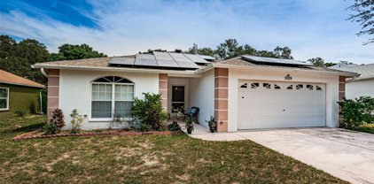 3929 68th Street N, St Petersburg