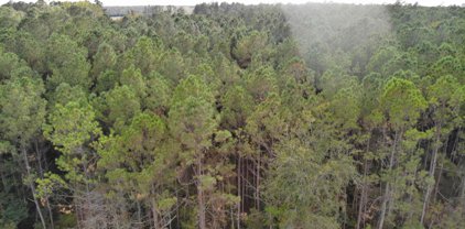 TBD Long Horne Ranch Dr., Loris