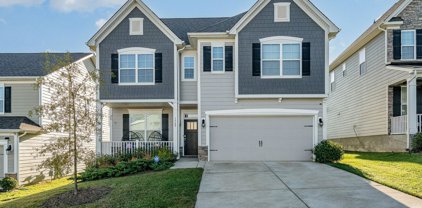 1569 Cambria  Court, Lake Wylie