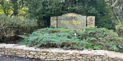 335 Forest Ridge  Drive, Mars Hill