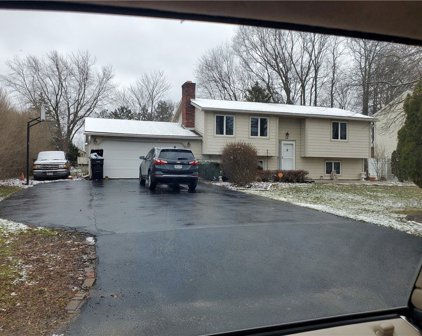24 Longhorn  Drive, Henrietta-263200