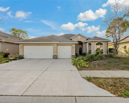 1911 Wood Bend Street, Tarpon Springs