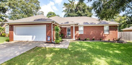 37 Robin, Cabot
