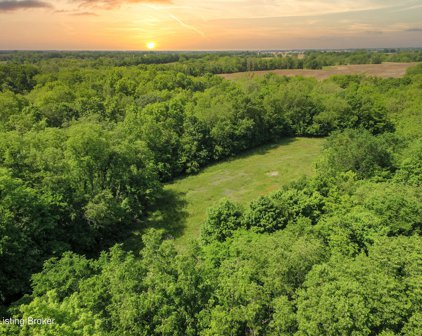 Tract 45 Stallard Springs, Shelbyville