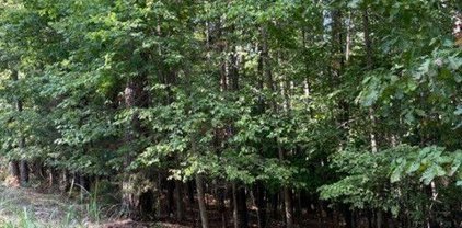 Lot 959 Spruce  Drive, Rogers