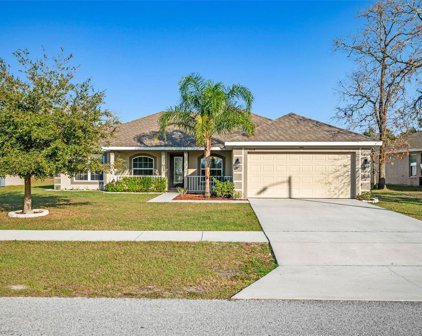 3648 Celebration Drive, Brooksville