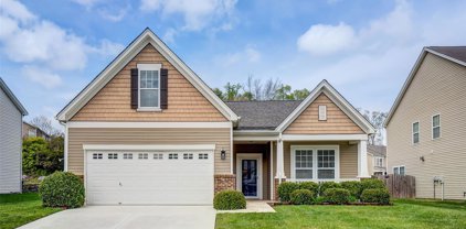 860 Ivy Trail  Way, Fort Mill