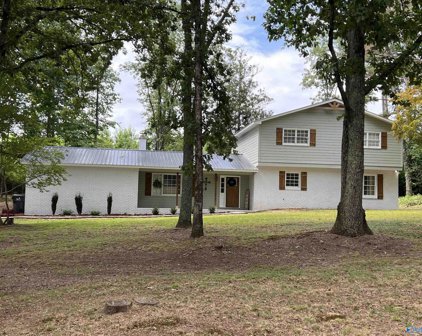 291 Skyhaven Drive, Boaz