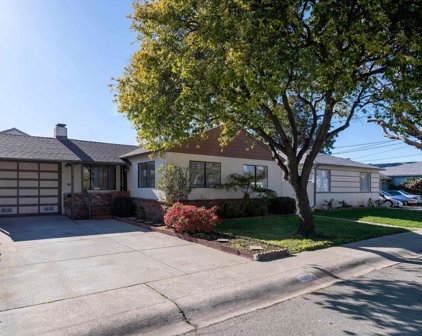 15791 Paseo Del Campo, San Lorenzo