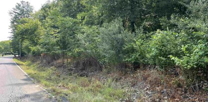 001 Ridgedale Road, Scottsboro