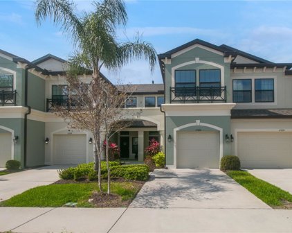 11526 Crowned Sparrow Lane, Tampa