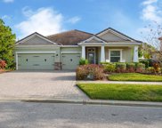 11882 Frost Aster Drive, Riverview image