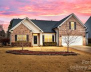 125 Fontanelle  Drive, Mooresville image