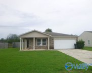 110 Rein Dance Lane, Owens Cross Roads image