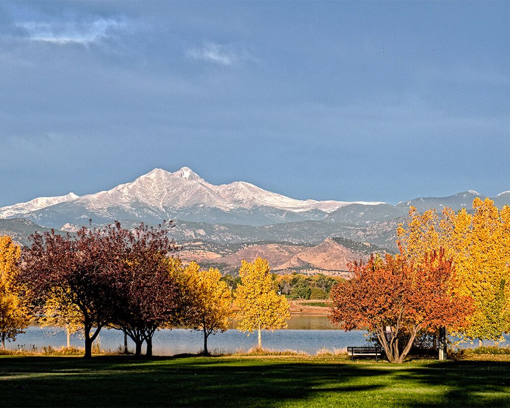 Longmont Real Estate