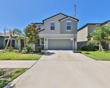 10252 Carloway Hills Drive, Wimauma