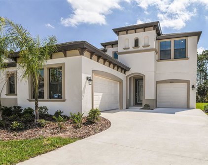 14672 Horse Trot Road, Lithia