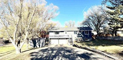 66169 Cottonwood, Montrose