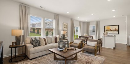 3338 Steadman Street, Columbia