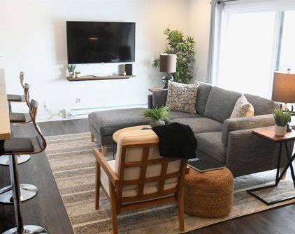 417 Evelyn Ave 302, Albany