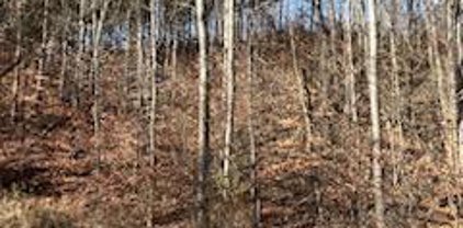 VL Buchanan Road, Shelby