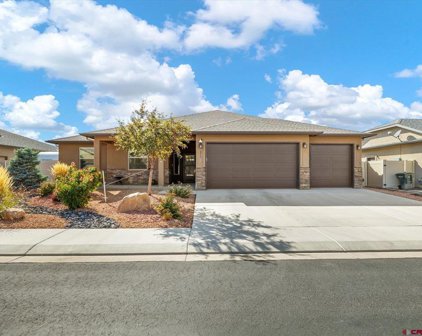 277 Everest, Grand Junction
