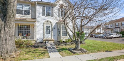 302 Hedgestone Ter Ne, Leesburg