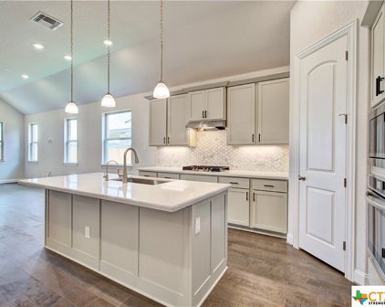 1631 Dirndl, New Braunfels